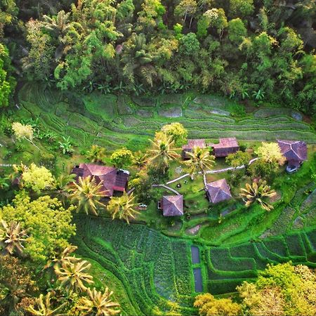 Oemah Tepi Sawah Villa Jatiluwih Kültér fotó