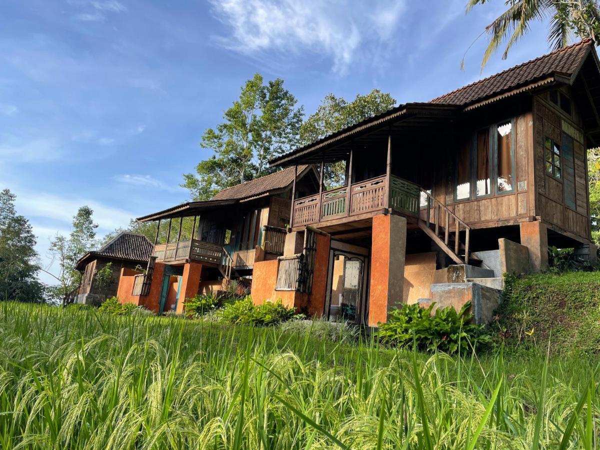 Oemah Tepi Sawah Villa Jatiluwih Kültér fotó