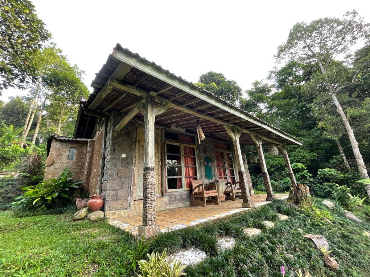 Oemah Tepi Sawah Villa Jatiluwih Kültér fotó