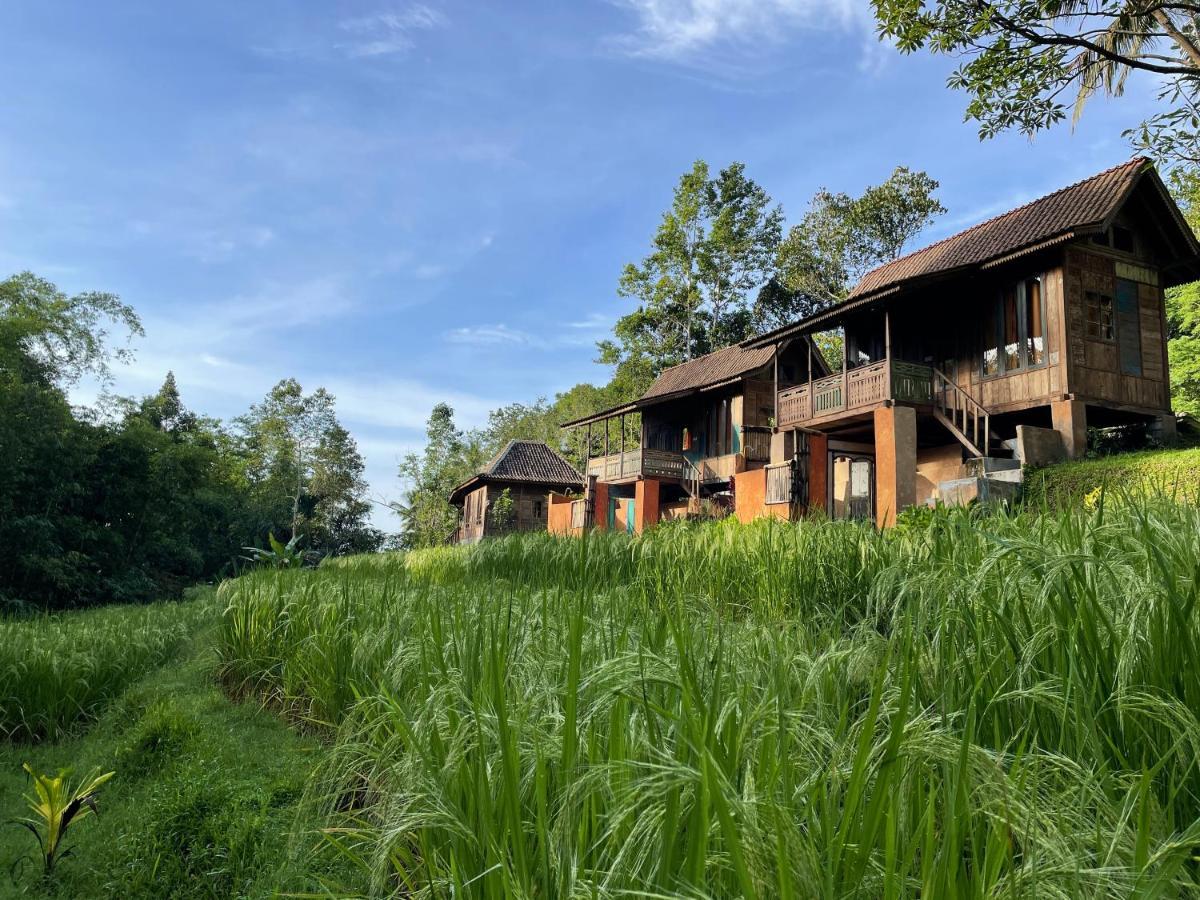 Oemah Tepi Sawah Villa Jatiluwih Kültér fotó