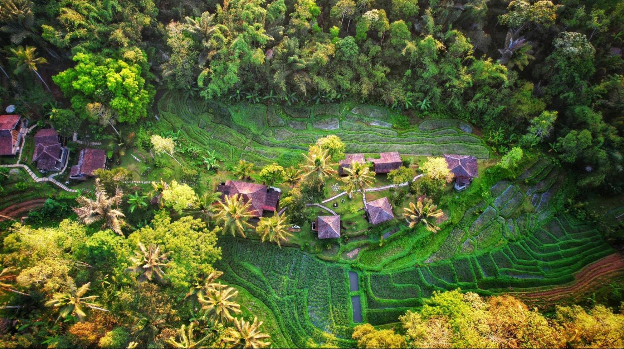 Oemah Tepi Sawah Villa Jatiluwih Kültér fotó
