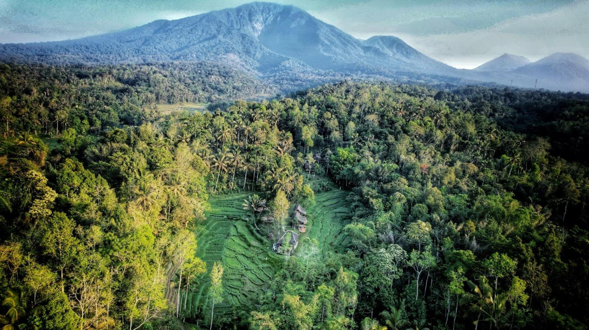 Oemah Tepi Sawah Villa Jatiluwih Kültér fotó