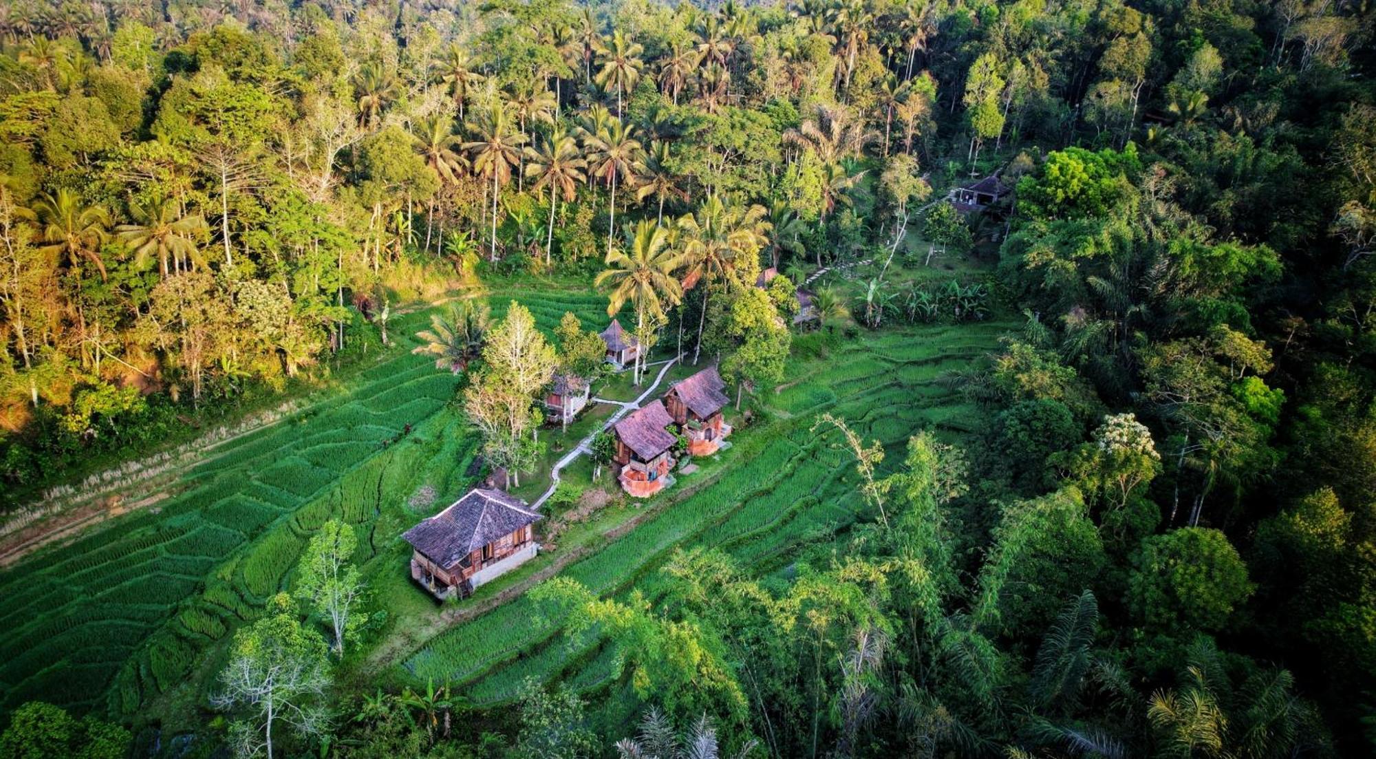 Oemah Tepi Sawah Villa Jatiluwih Kültér fotó
