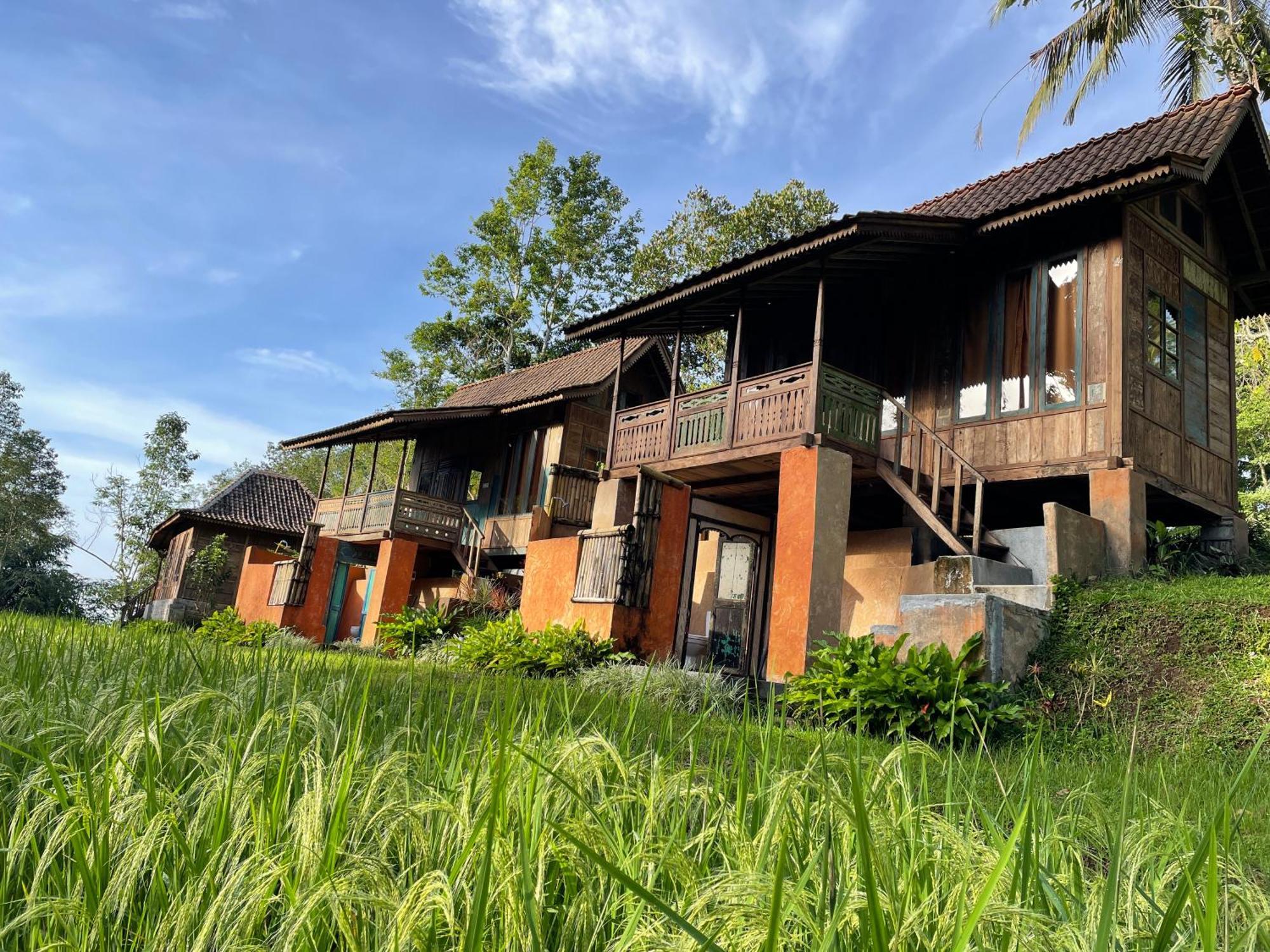 Oemah Tepi Sawah Villa Jatiluwih Kültér fotó