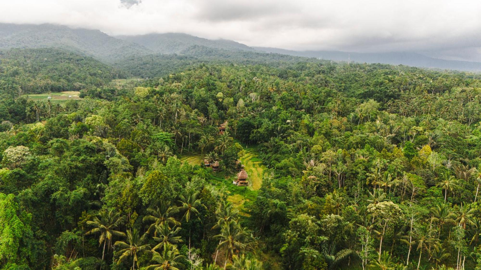 Oemah Tepi Sawah Villa Jatiluwih Kültér fotó